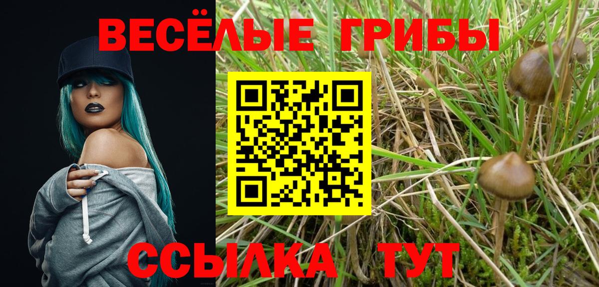 Галлюциногенные грибы ЛСД  Псилоцибиновые грибы Psilocybe  Элиста  Вход с VPN 