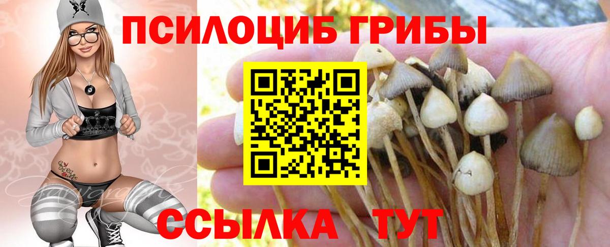 Псилоцибиновые грибы мицелий Элиста