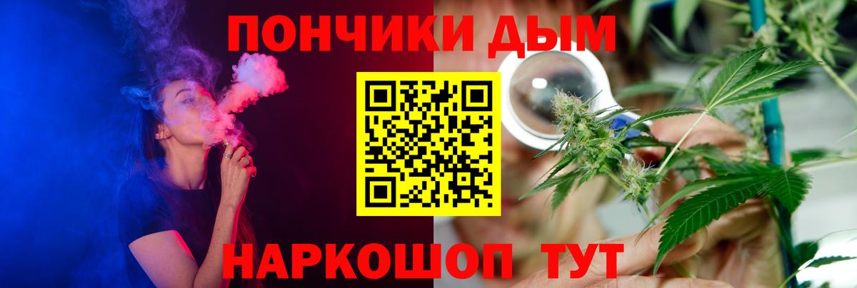 Бошки Шишки планчик  МАРИХУАНА семена  Вход с VPN  Элиста  Шишки марихуана сатива 